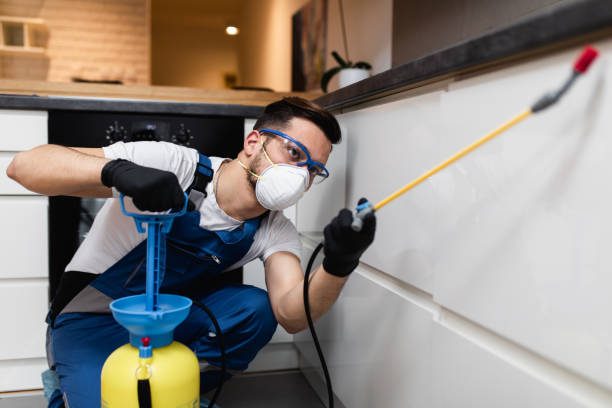 Best Best Pest Control Companies  in Beacon, NY