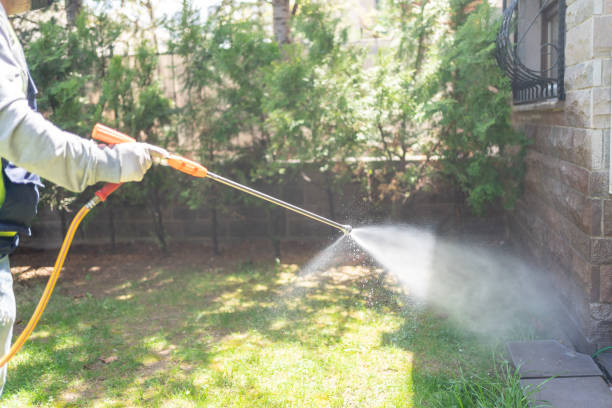Best Insect Control  in Beacon, NY